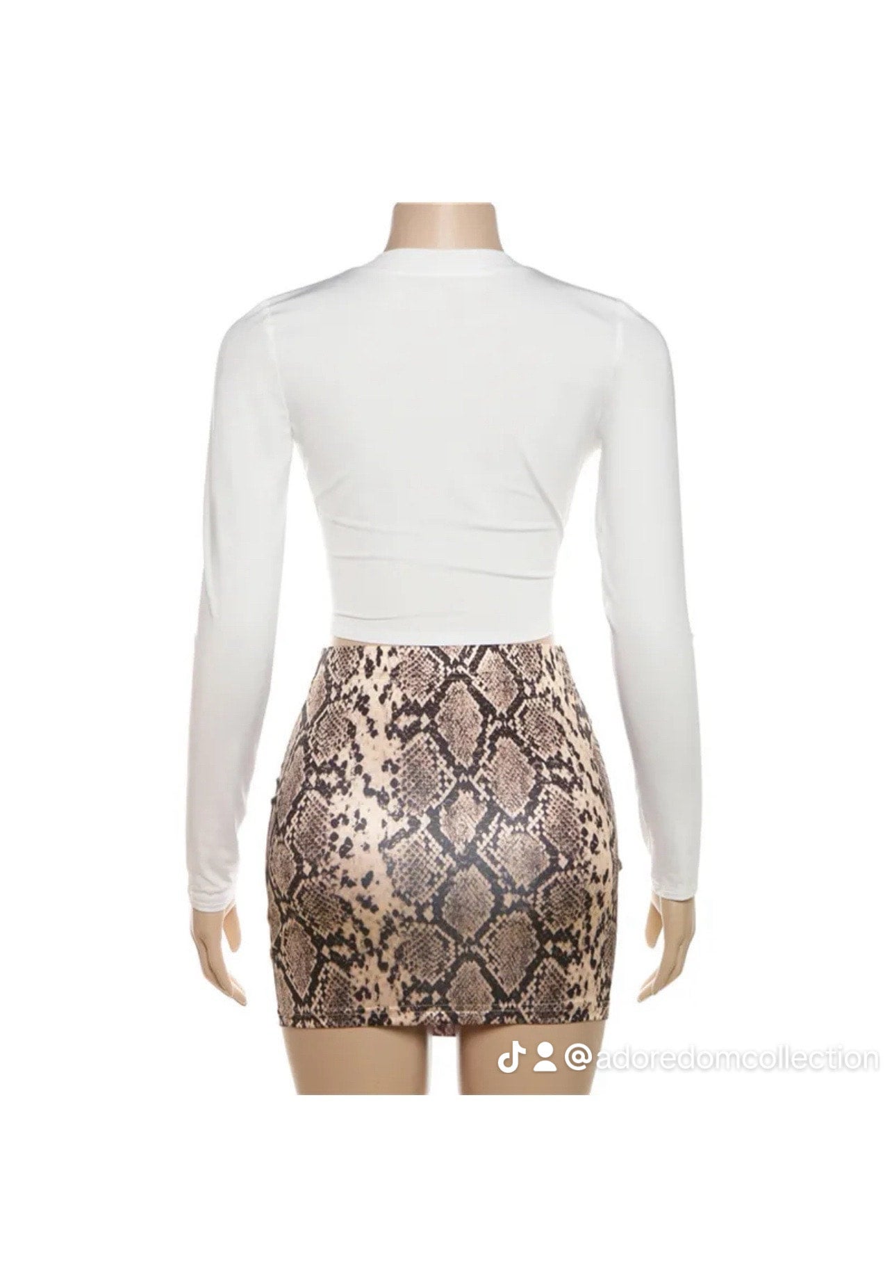 Sweet Snake Two Piece Skirt Set